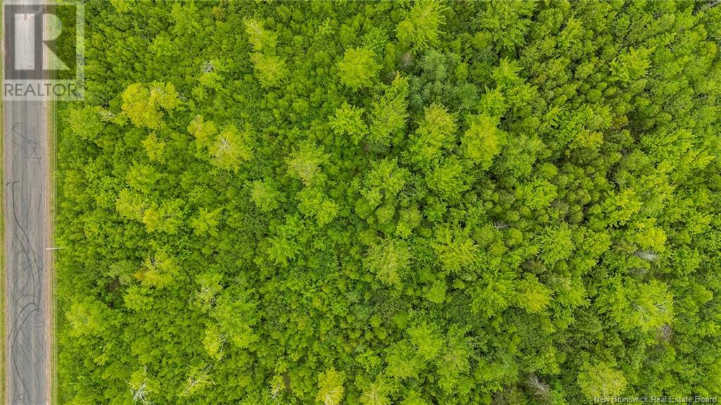Lot 17-2 Collins Lake Road, Shemogue, New Brunswick  E4N 2N1 - Photo 15 - NB121209