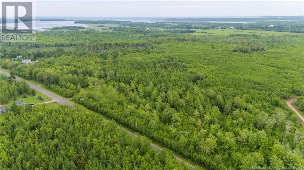 Lot 17-2 Collins Lake Road, Shemogue, New Brunswick  E4N 2N1 - Photo 17 - NB121209
