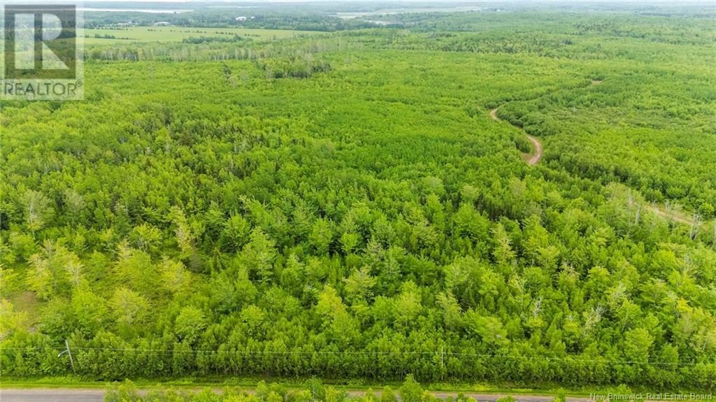 Lot 17-2 Collins Lake Road, Shemogue, New Brunswick  E4N 2N1 - Photo 6 - NB121209
