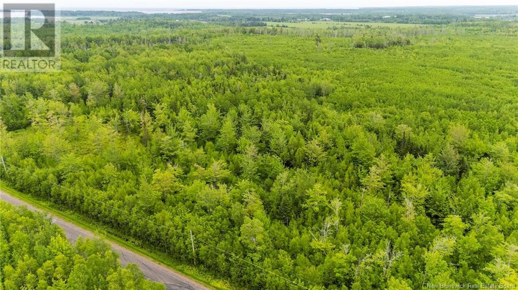 Lot 17-2 Collins Lake Road, Shemogue, New Brunswick  E4N 2N1 - Photo 8 - NB121209
