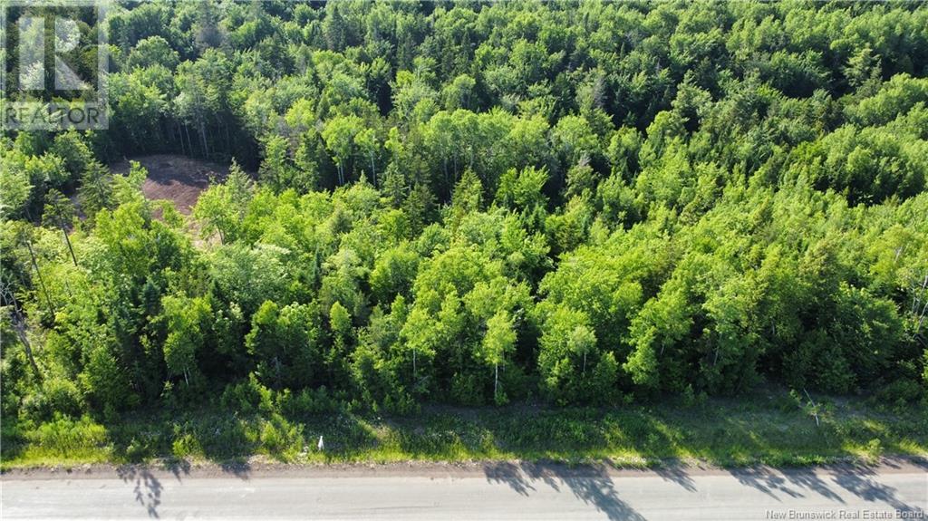 Lot 21-39 Orchard Avenue, Irishtown, New Brunswick  E1H 0J5 - Photo 1 - NB121424