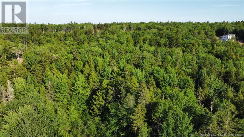 Lot 21-44 Orchard Avenue, Irishtown, New Brunswick E1H 0J5 - Photo 11 - NB121429