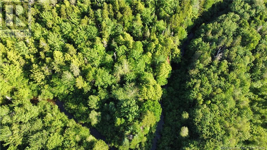 Lot 21-44 Orchard Avenue, Irishtown, New Brunswick E1H 0J5 - Photo 8 - NB121429