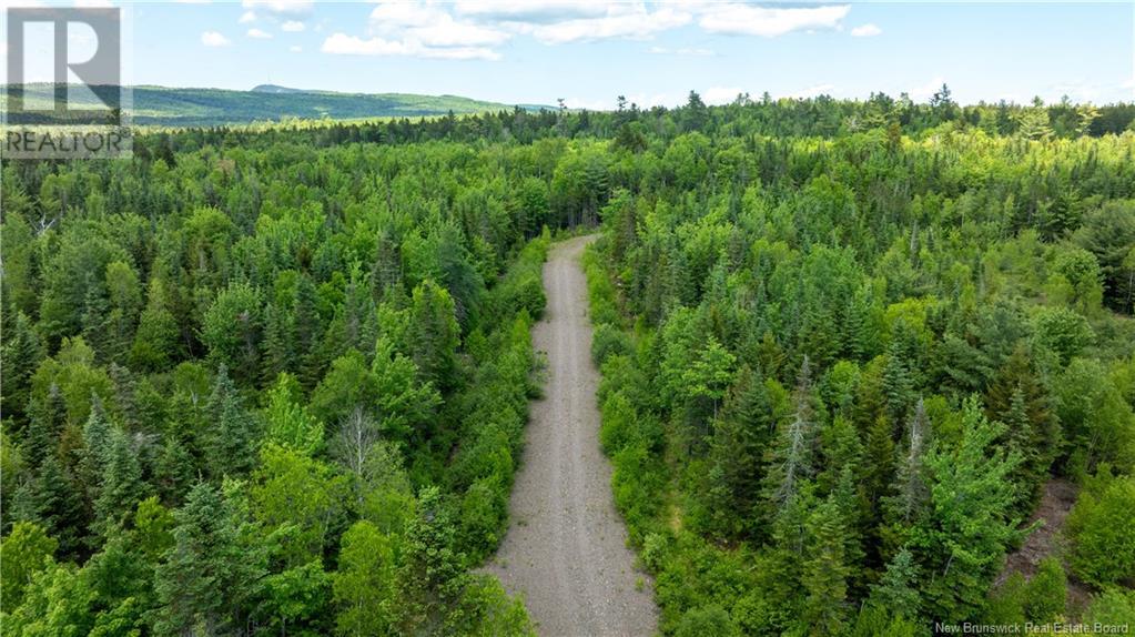 Lot 2011-1 Campbell Road, Nerepis, New Brunswick  E5K 3W3 - Photo 8 - NB121241