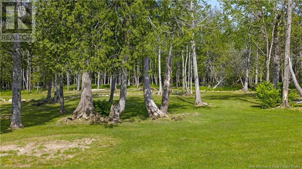 3749 Route 127, Bayside, New Brunswick  E5B 2T1 - Photo 32 - NB121400