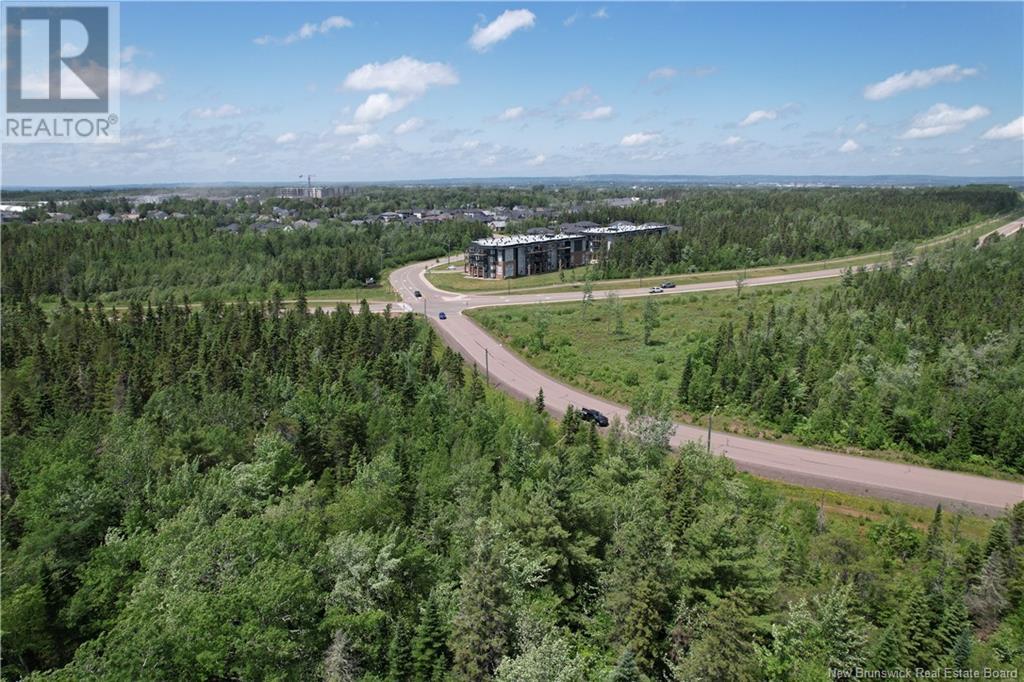 Lot On Robertson Street, Riverview, New Brunswick E1B 0T8 - Photo 3 - NB121502