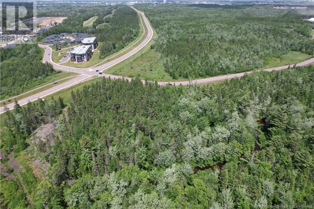 Lot On Robertson Street, Riverview, New Brunswick E1B 0T8 - Photo 4 - NB121502