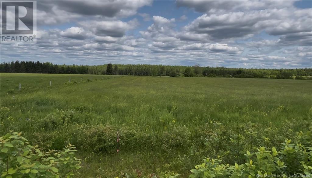 24-5 Harrington Road, Steeves Mountain, New Brunswick  E1G 3X3 - Photo 1 - NB121446