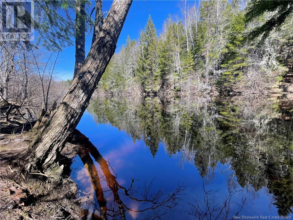 Lot Route 126, Rogersville, New Brunswick  E4Y 2N8 - Photo 1 - NB119222
