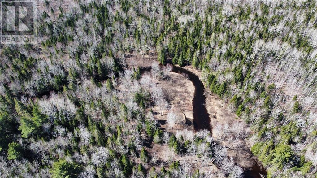 Lot Route 126, Rogersville, New Brunswick  E4Y 2N8 - Photo 13 - NB119222