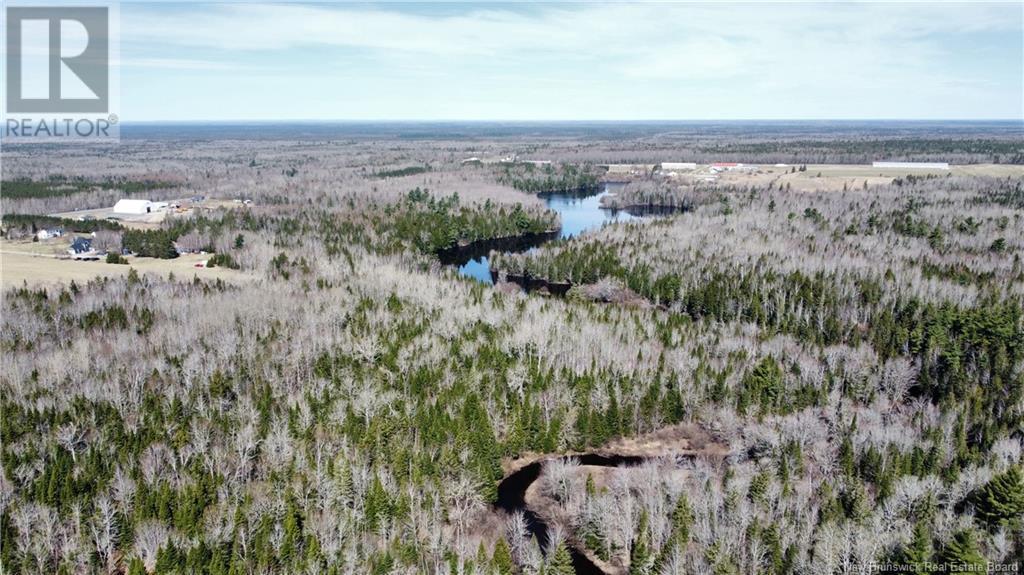 Lot Route 126, Rogersville, New Brunswick  E4Y 2N8 - Photo 15 - NB119222