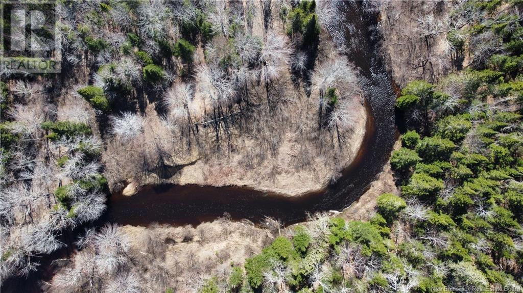 Lot Route 126, Rogersville, New Brunswick  E4Y 2N8 - Photo 17 - NB119222