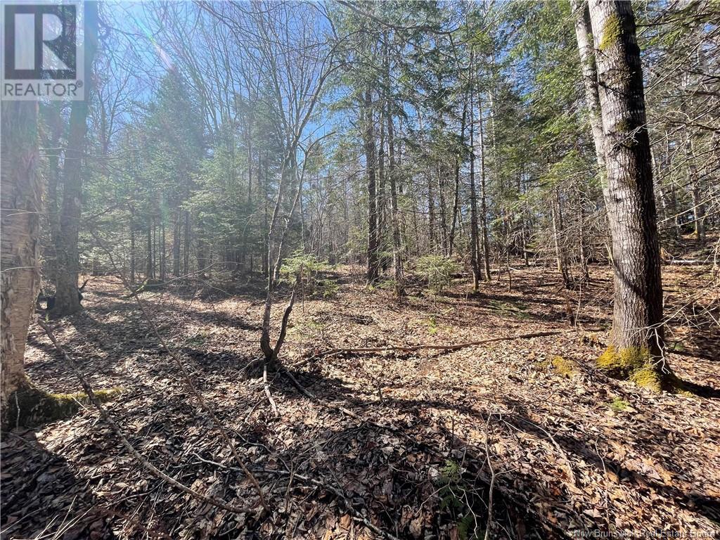 Lot Route 126, Rogersville, New Brunswick  E4Y 2N8 - Photo 27 - NB119222