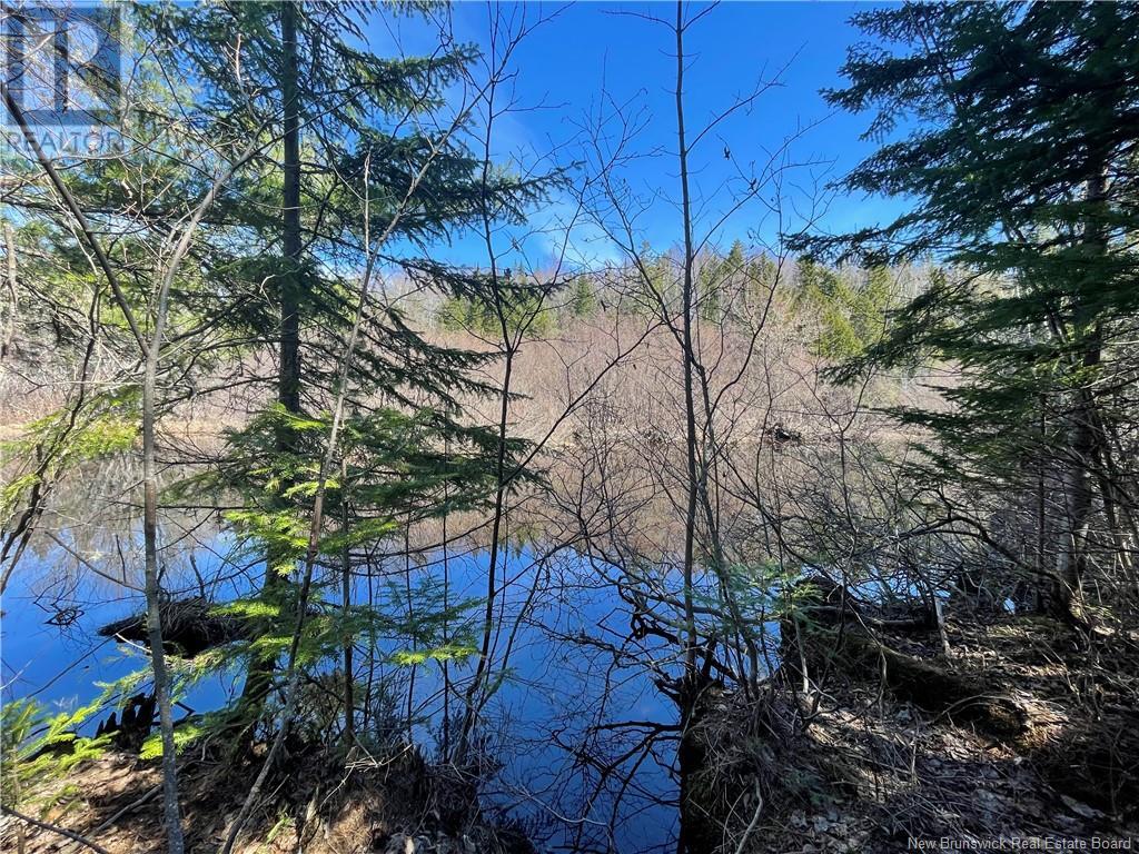 Lot Route 126, Rogersville, New Brunswick  E4Y 2N8 - Photo 28 - NB119222