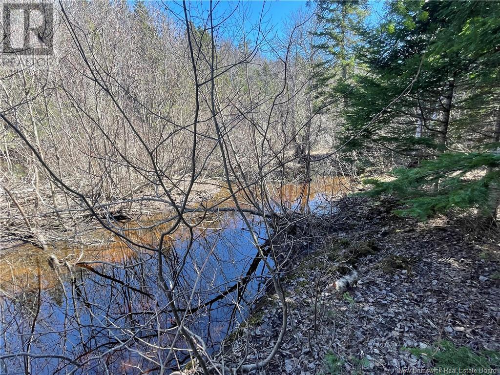 Lot Route 126, Rogersville, New Brunswick  E4Y 2N8 - Photo 33 - NB119222