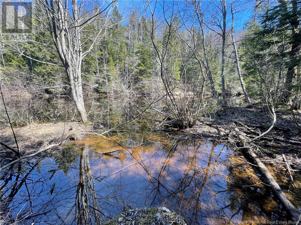 Lot Route 126, Rogersville, New Brunswick  E4Y 2N8 - Photo 34 - NB119222