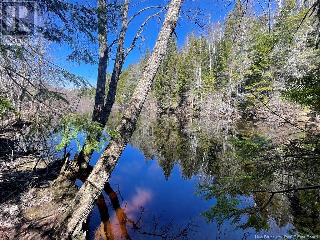 Lot Route 126, Rogersville, New Brunswick  E4Y 2N8 - Photo 35 - NB119222