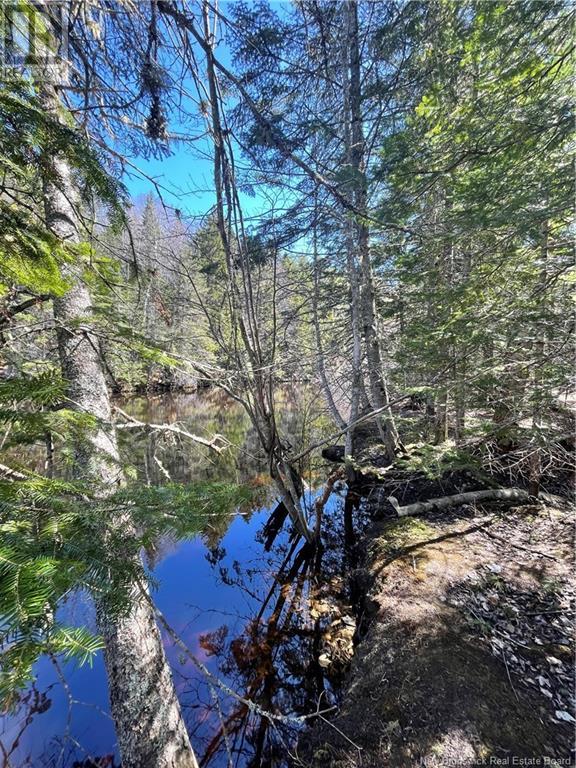 Lot Route 126, Rogersville, New Brunswick  E4Y 2N8 - Photo 36 - NB119222