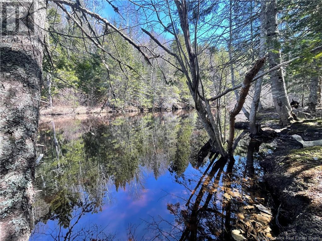 Lot Route 126, Rogersville, New Brunswick  E4Y 2N8 - Photo 38 - NB119222