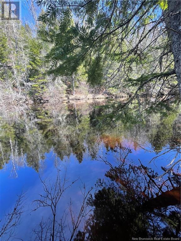 Lot Route 126, Rogersville, New Brunswick  E4Y 2N8 - Photo 39 - NB119222