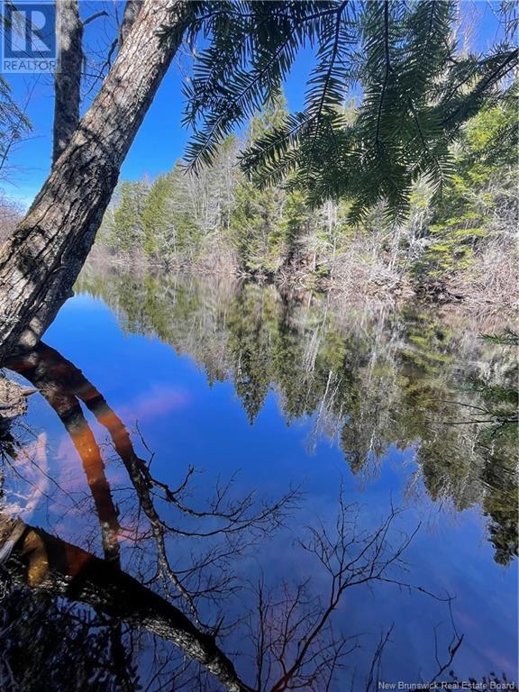 Lot Route 126, Rogersville, New Brunswick  E4Y 2N8 - Photo 4 - NB119222