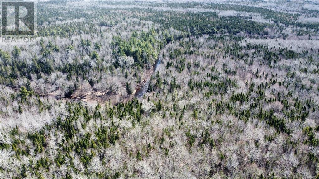 Lot Route 126, Rogersville, New Brunswick  E4Y 2N8 - Photo 9 - NB119222
