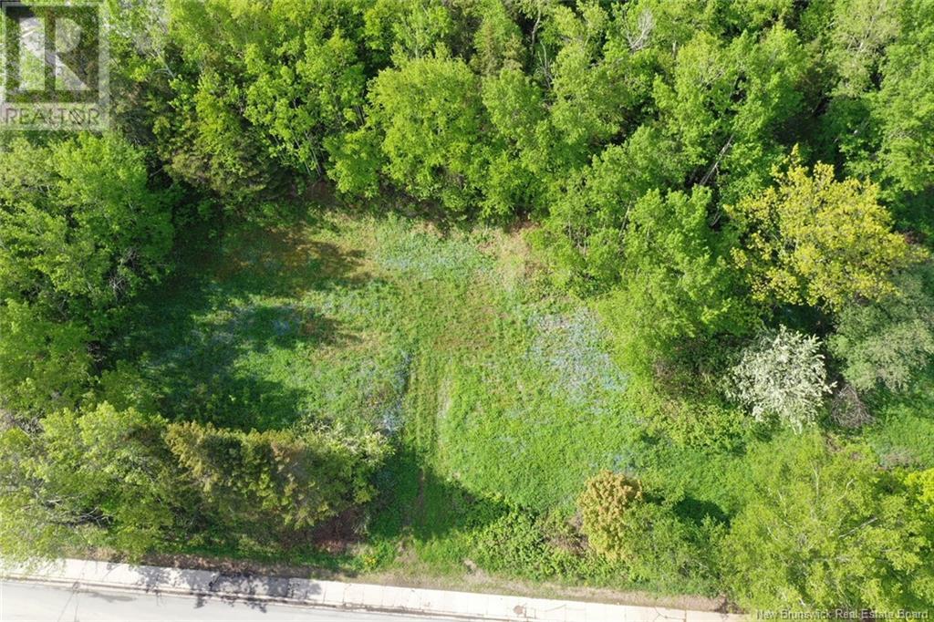 440 Goderich Street, Dalhousie, New Brunswick E8C 1T3 - Photo 1 - NB121689