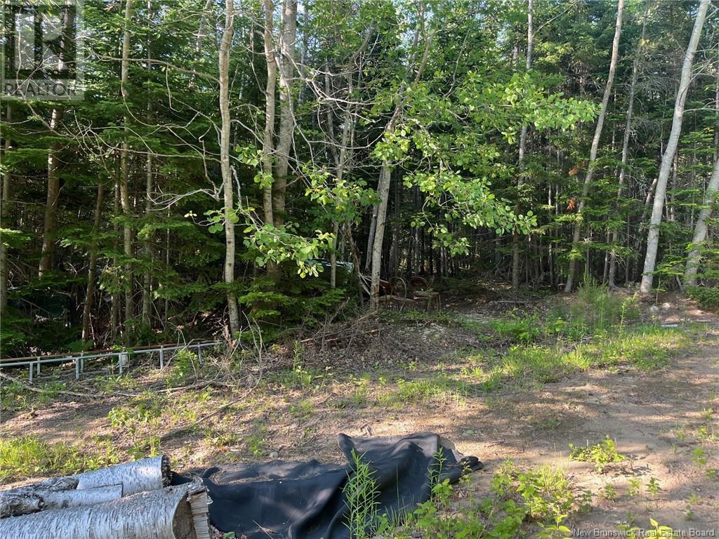 70 Rue Jeanne D'arc, Rivière-À-La-Truite, New Brunswick  E1X 2N4 - Photo 2 - NB121686