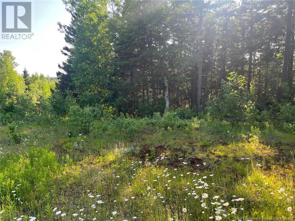 70 Rue Jeanne D'arc, Rivière-À-La-Truite, New Brunswick  E1X 2N4 - Photo 3 - NB121686