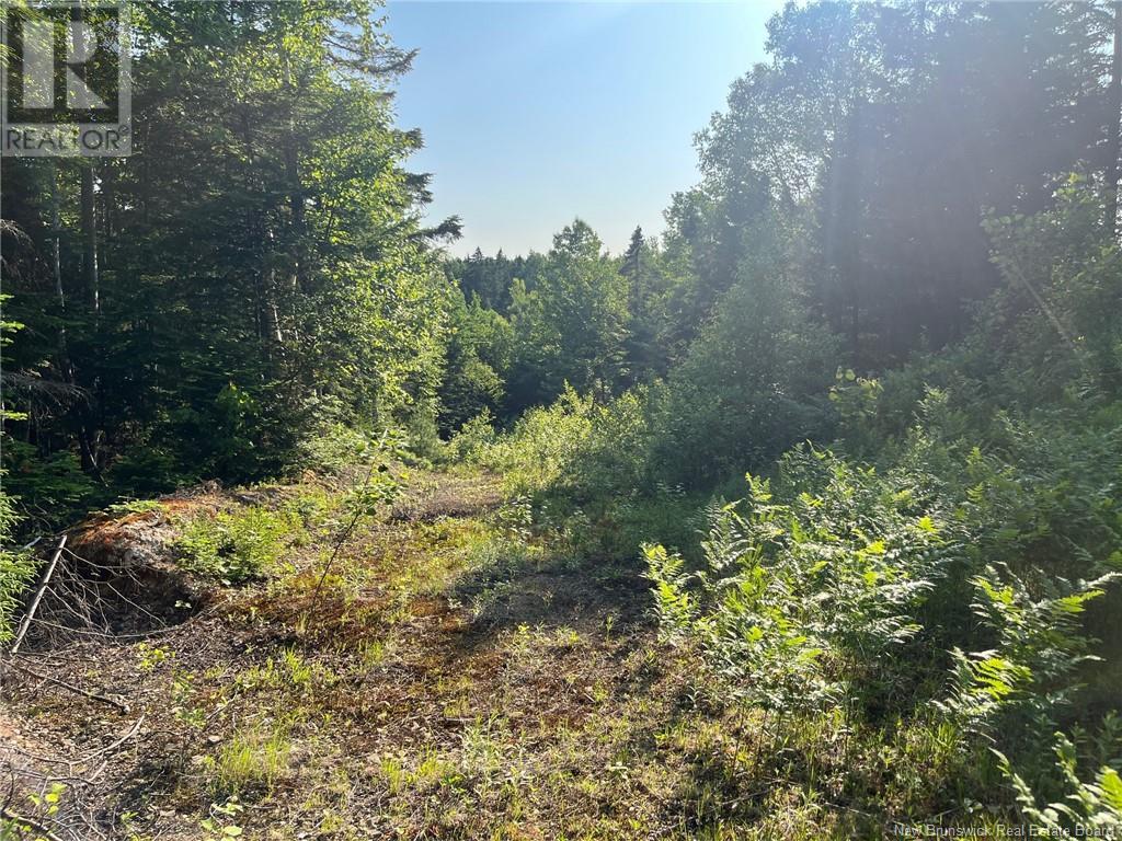 70 Rue Jeanne D'arc, Rivière-À-La-Truite, New Brunswick  E1X 2N4 - Photo 4 - NB121686