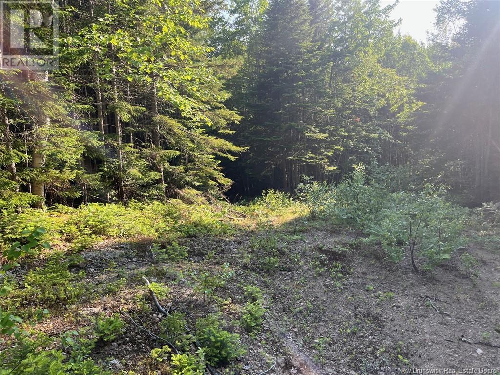 70 Rue Jeanne D'arc, Rivière-À-La-Truite, New Brunswick  E1X 2N4 - Photo 5 - NB121686