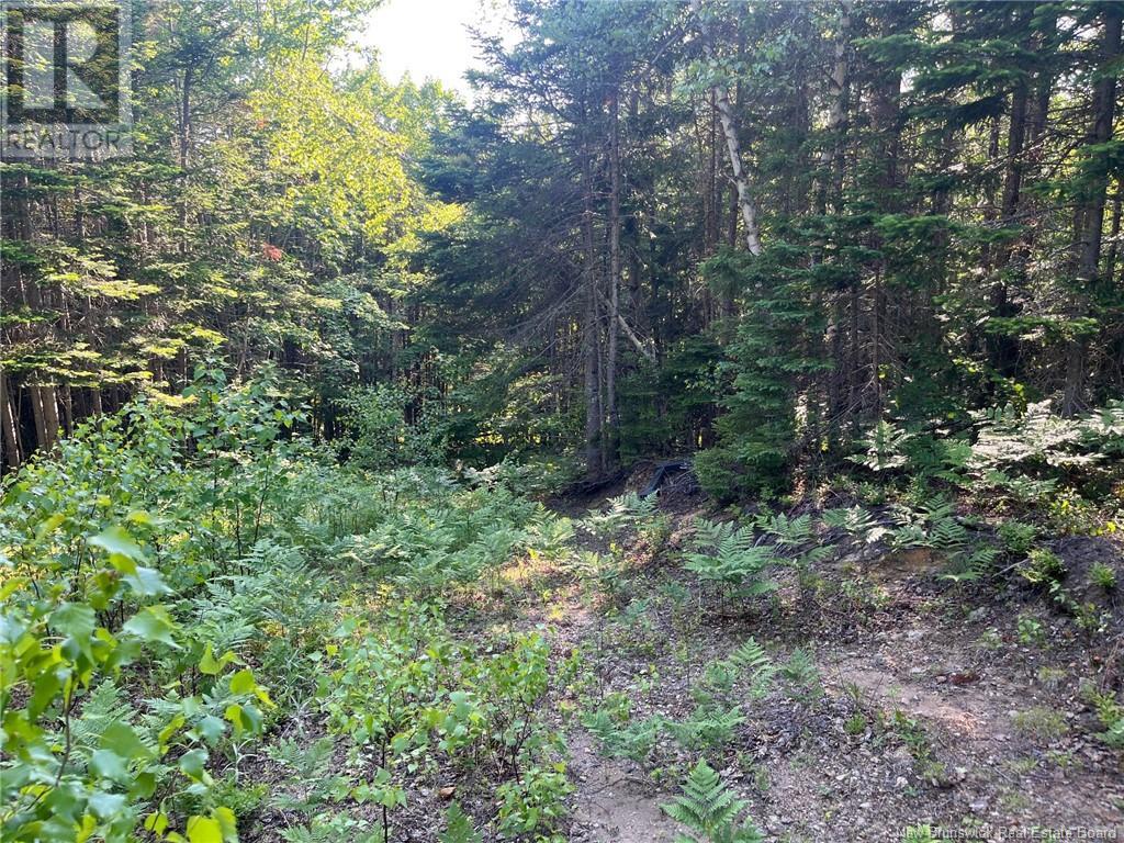 70 Rue Jeanne D'arc, Rivière-À-La-Truite, New Brunswick  E1X 2N4 - Photo 6 - NB121686