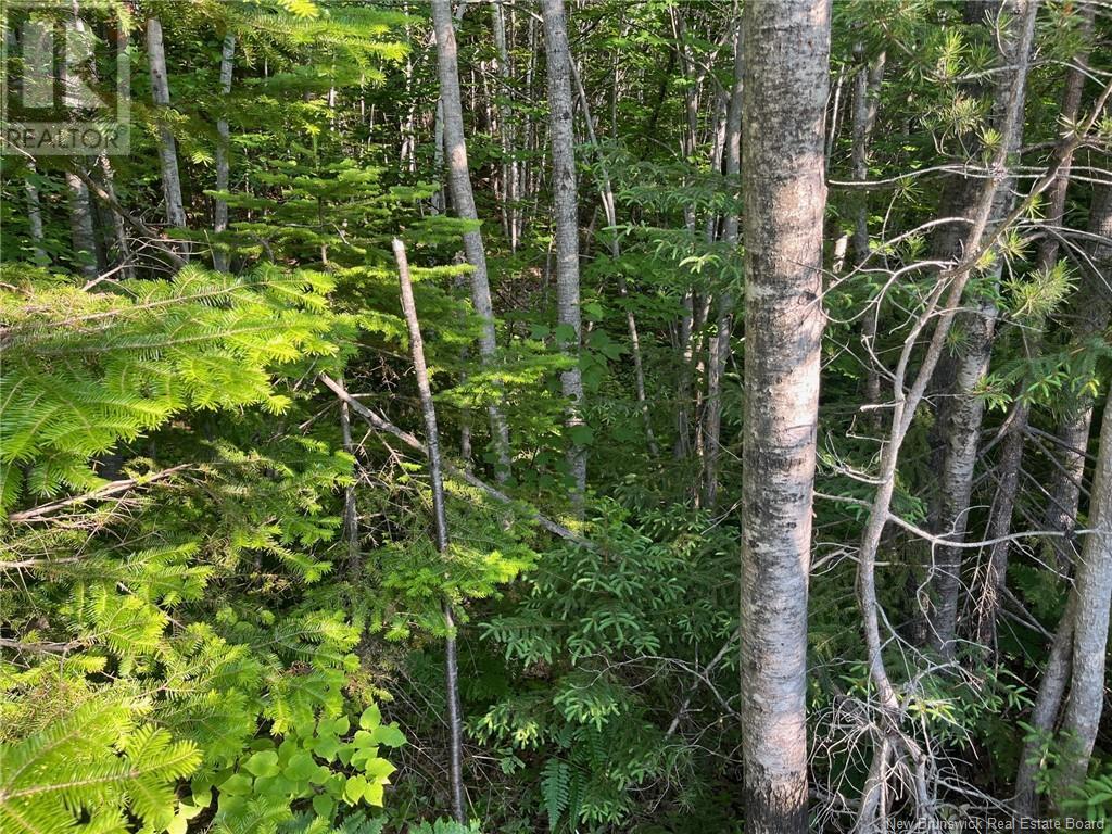 70 Rue Jeanne D'arc, Rivière-À-La-Truite, New Brunswick  E1X 2N4 - Photo 7 - NB121686