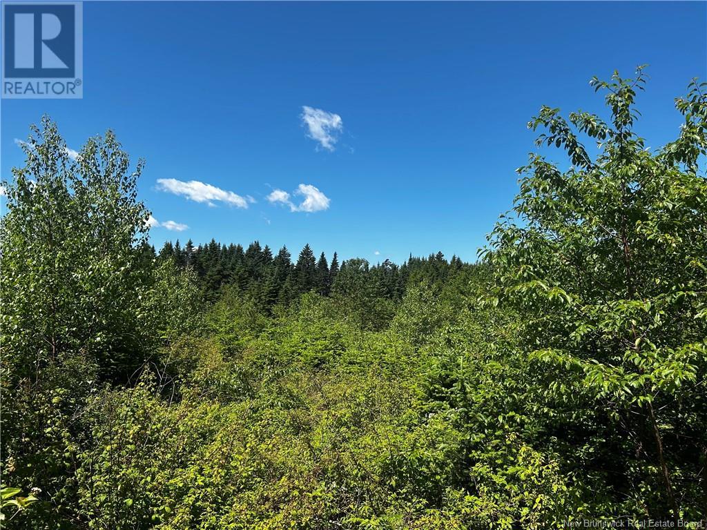Old Gardner Creek Road, Rowley, New Brunswick  E2S 0E9 - Photo 1 - NB121779