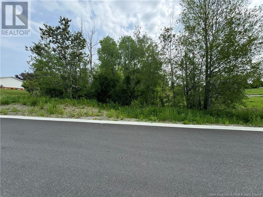 Evangeline Street, Grand-Sault/grand Falls, New Brunswick  E3Y 1B9 - Photo 1 - NB121897