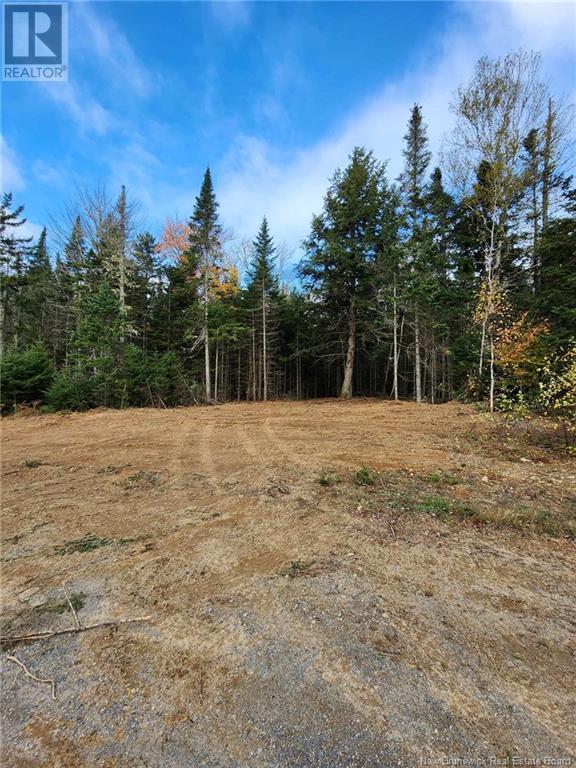 Lot Glencoe Road, Nashwaak Bridge, New Brunswick  E6C 1T5 - Photo 1 - NB121740