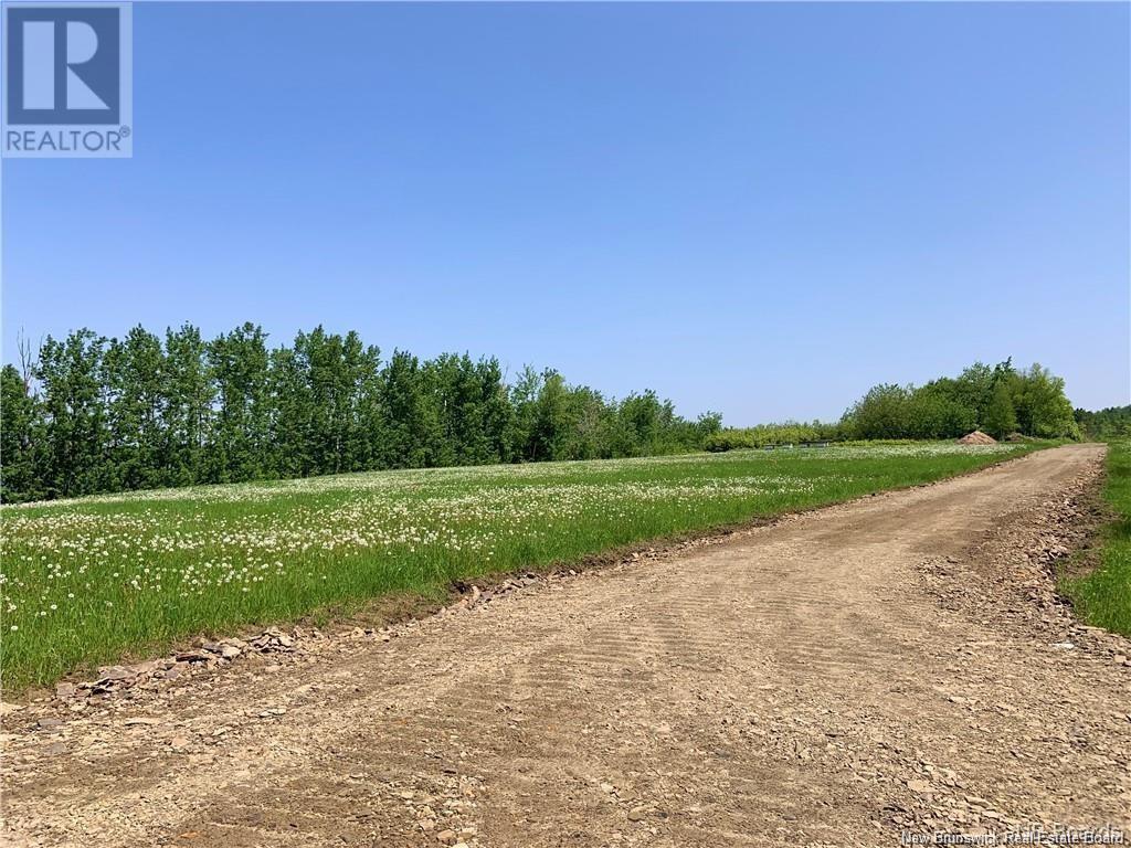 1 Acre Hatty's Hideaway (Off Rte 117), Black River Bridge, New Brunswick  E1N 5K5 - Photo 4 - NB122054