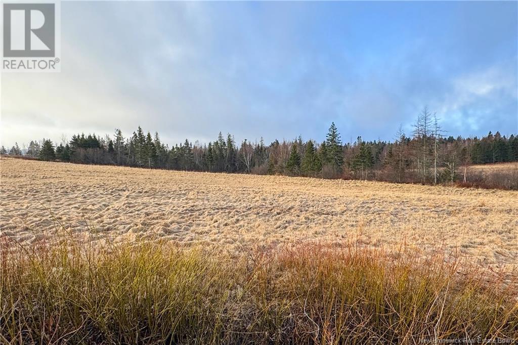 Lot 24-2 Fairfield Road, Sackville, New Brunswick E4L 2X8 - Photo 3 - NB122204