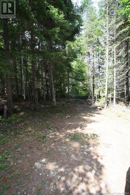 916 Storeytown Road, Doaktown, New Brunswick  E9C 1Z3 - Photo 8 - NB122220