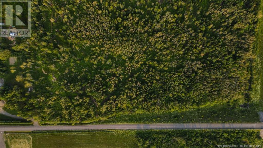 Lot Doucet Road, Green River, New Brunswick E7C 2X2 - Photo 8 - NB122199