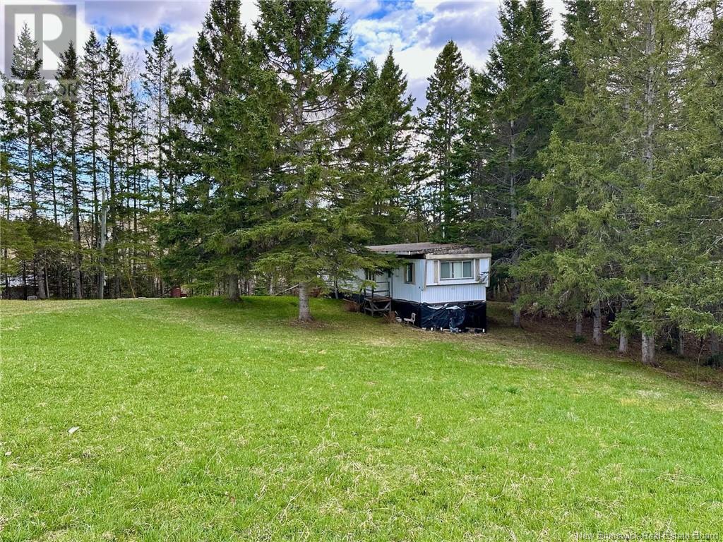 124 Francoeur Hill Road, New Denmark, New Brunswick