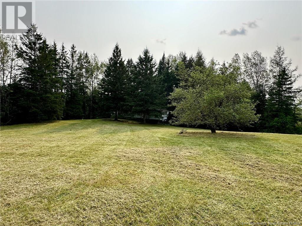 124 Francoeur Hill Road, New Denmark, New Brunswick  E7G 1R3 - Photo 11 - NB122290