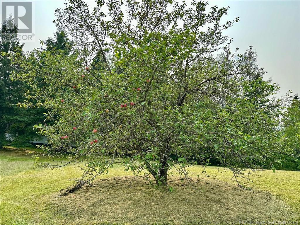 124 Francoeur Hill Road, New Denmark, New Brunswick  E7G 1R3 - Photo 12 - NB122290