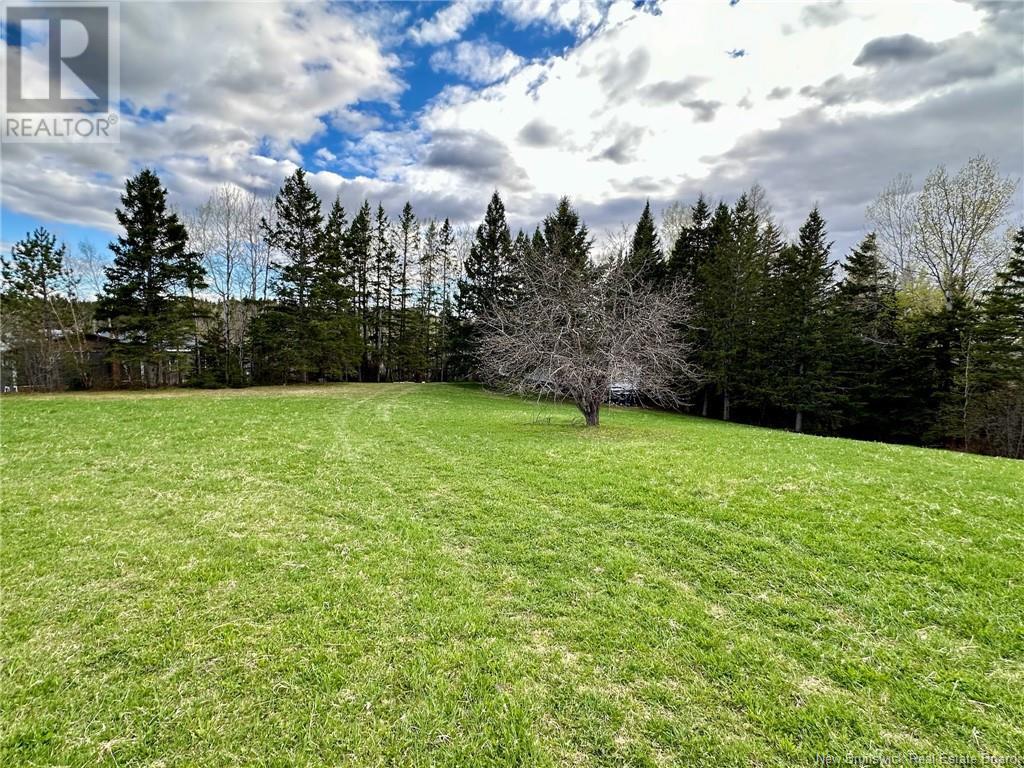 124 Francoeur Hill Road, New Denmark, New Brunswick  E7G 1R3 - Photo 15 - NB122290