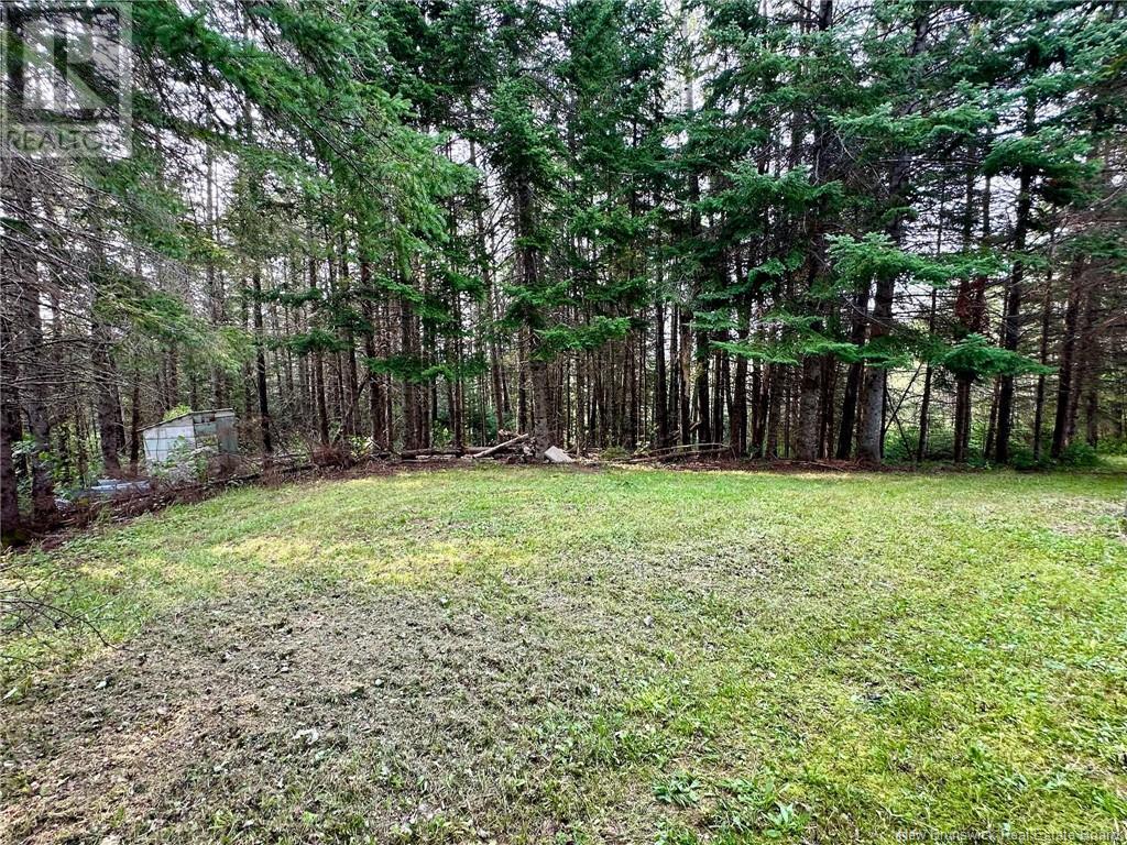 124 Francoeur Hill Road, New Denmark, New Brunswick  E7G 1R3 - Photo 16 - NB122290