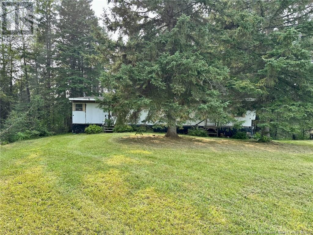 124 Francoeur Hill Road, New Denmark, New Brunswick  E7G 1R3 - Photo 4 - NB122290