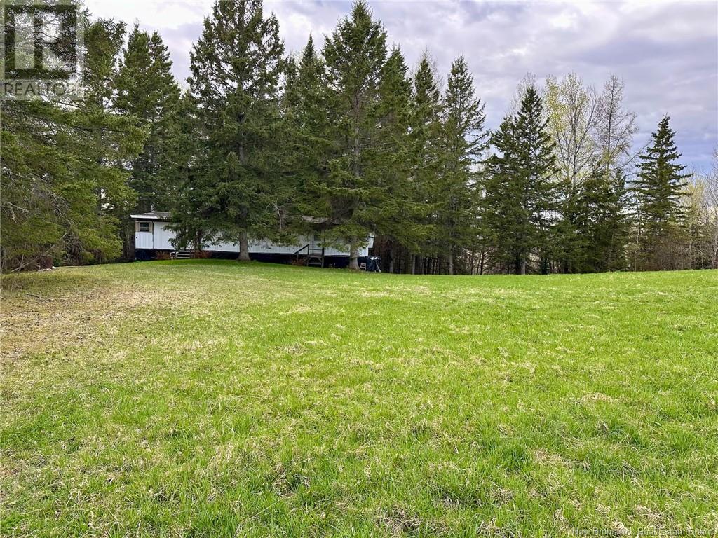 124 Francoeur Hill Road, New Denmark, New Brunswick  E7G 1R3 - Photo 6 - NB122290