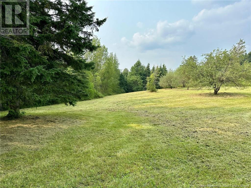 124 Francoeur Hill Road, New Denmark, New Brunswick  E7G 1R3 - Photo 9 - NB122290