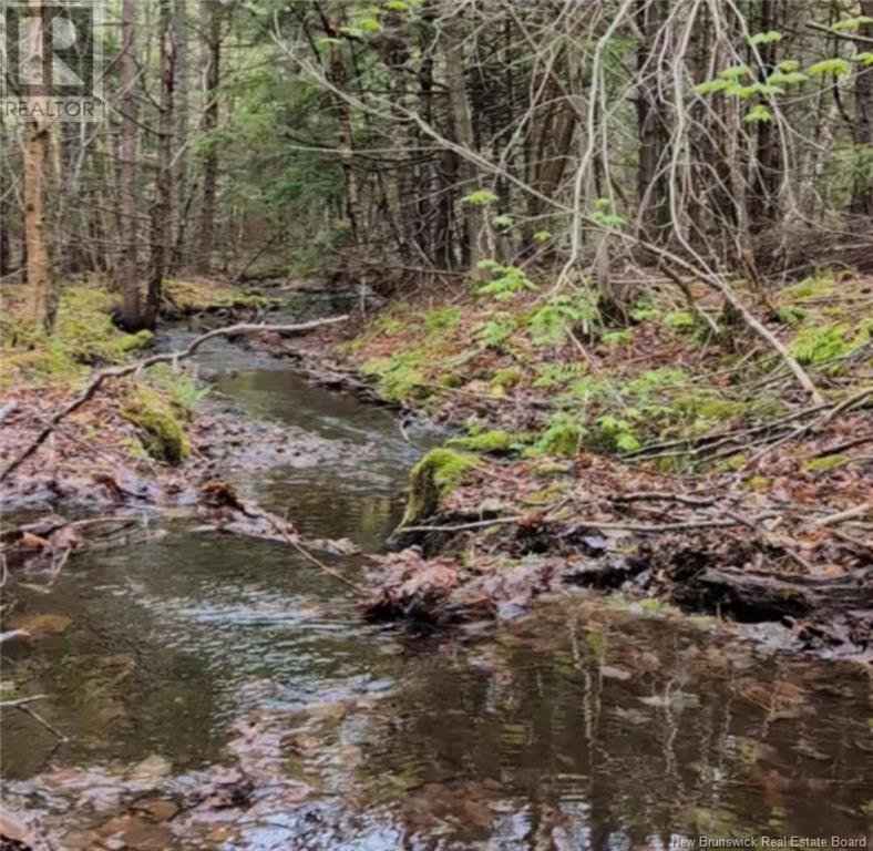 Old Great Road, Hopewell Cape, New Brunswick  E4H 3J6 - Photo 2 - NB122277