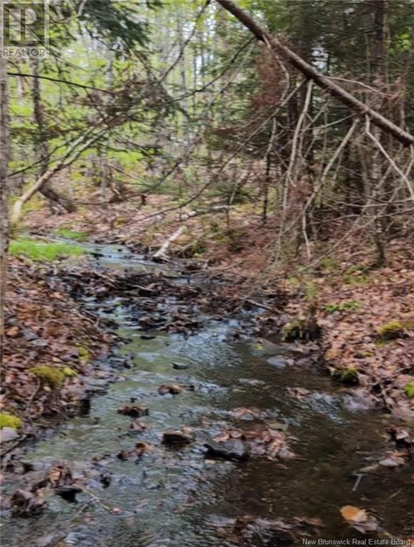Old Great Road, Hopewell Cape, New Brunswick  E4H 3J6 - Photo 4 - NB122277